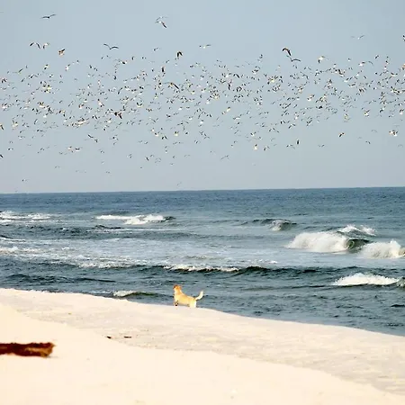 Meeresrauschen 09 - Lieblingsplatz *